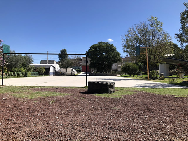 Zona de Crossfit, cancha de futbol y basquetbol.